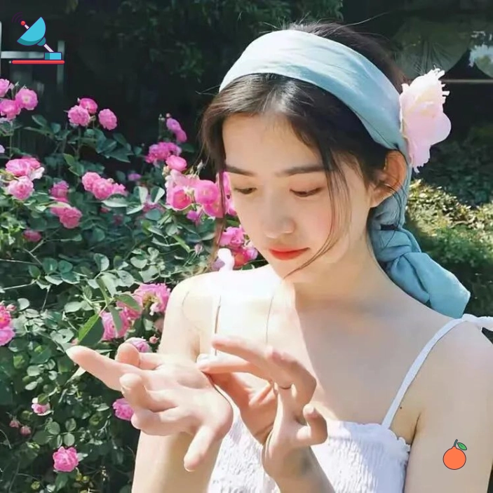 海边的风